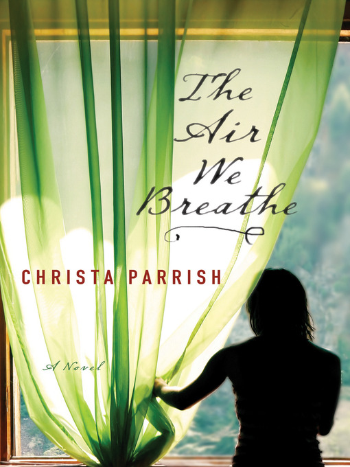 Title details for The Air We Breathe by Christa Parrish - Wait list